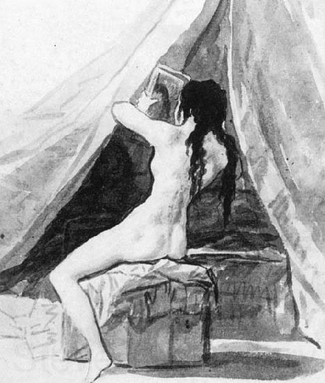 Francisco de goya y Lucientes Nude Woman Holding a Mirror